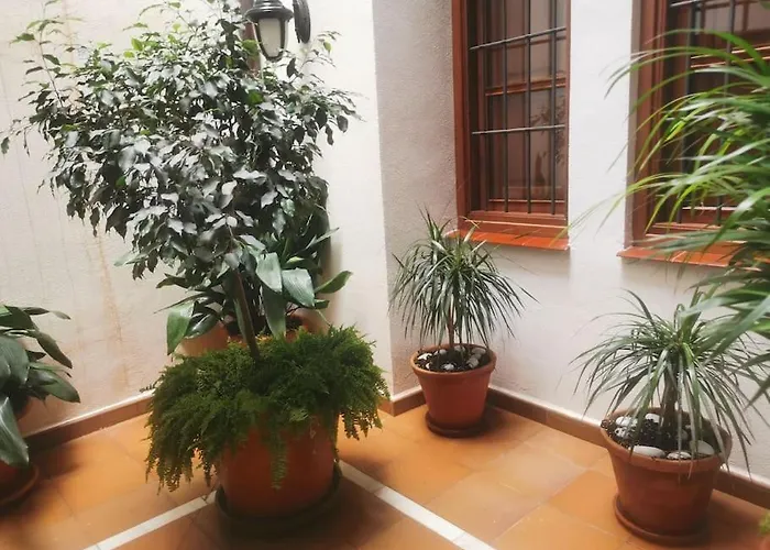 Attico Luxury Suitemalaga